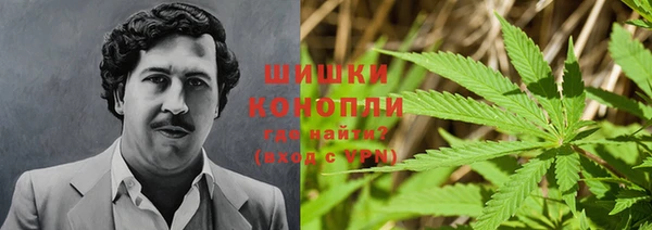 ПСИЛОЦИБИНОВЫЕ ГРИБЫ Арсеньев