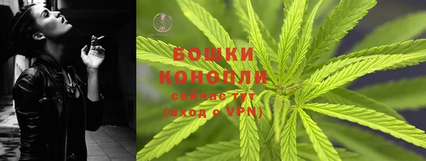 ПСИЛОЦИБИНОВЫЕ ГРИБЫ Арсеньев