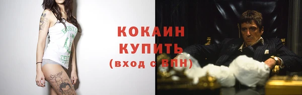 ПСИЛОЦИБИНОВЫЕ ГРИБЫ Арсеньев