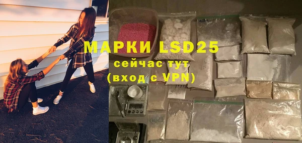 ПСИЛОЦИБИНОВЫЕ ГРИБЫ Арсеньев