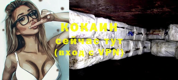 гашик Аркадак